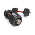 Kit Dumbbells Rolamentados 51kg - ALPHA
