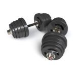 Kit Dumbbells Rolamentados 76kg - ALPHA