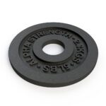 ANILHA FRACIONAL FERRO FUNDIDO 5LB (2,3KG) - ALPHA EQUIPAMENTOS - Imagem 2