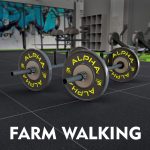 Farm Walk (Par) - ALPHA - Imagem 3