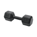 Dumbbell Sextavado de Ferro Fundido Pintado 32kg - Standard